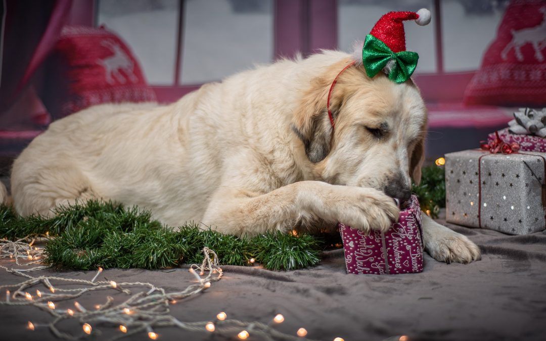 Campaña de navidad: mucho más que un bonito escaparate