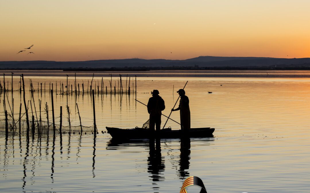Comunicado sobre la DANA en Valencia