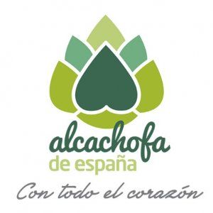 Alcachofa de España
